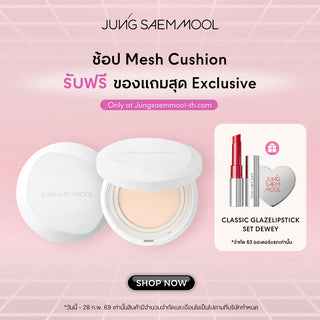 โปร-ลาสติ้ง ฟลอเลส ฟิต เมช คุชชั่น เอสพีเอฟ 50+ พีเอ++++