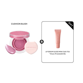 Artist Cushion Blush