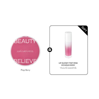 Artist Cushion Blush Blur